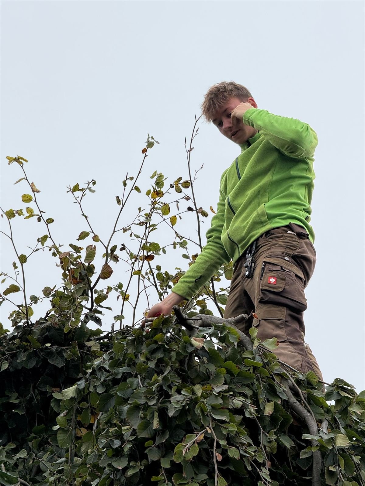 Marc Krämer, Inhaber von Krämer Grünkonzepte